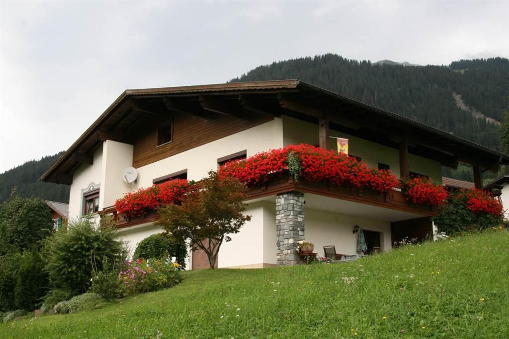 Haus Simone - Tschofen Waltraud Apartment